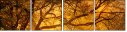59871115