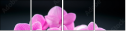 59897994