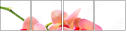 59913982