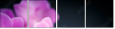 59923716