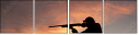 59928266