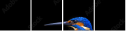 59945759