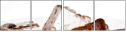 59966276