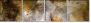 60051496