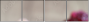 60166700