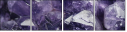 60182328