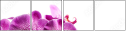 60209839