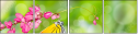 60212594