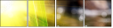 60275600