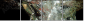 60316396