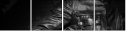 60318085