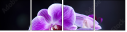 60354843