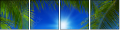 60362242