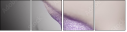 60390029