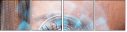 60478677