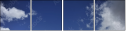 60525051
