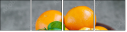 60530401