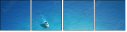 60682880