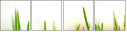 60701620