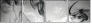 60831181