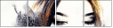 60831429