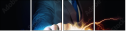 60913301