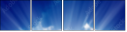 60981945