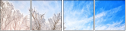 61239166