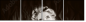 61329383