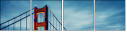 61361419