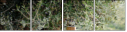 61604708
