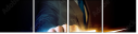 61606804