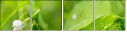 61638784