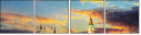 61816494