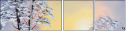 61820341