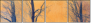 61864050