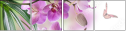 62095450