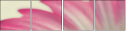 62303581