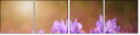 62325008