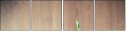 62377665