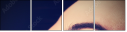 62674579