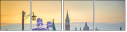 62901581