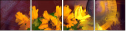 62921715