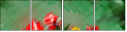 62921723