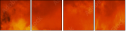 63199579