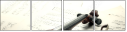 63221798