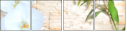 63333891