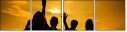 63593944