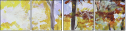 63638653