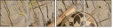 63872265